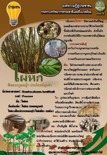 ศูนย์น้ำหนาว-100362