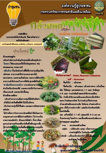 ศูนย์น้ำหนาว-240362