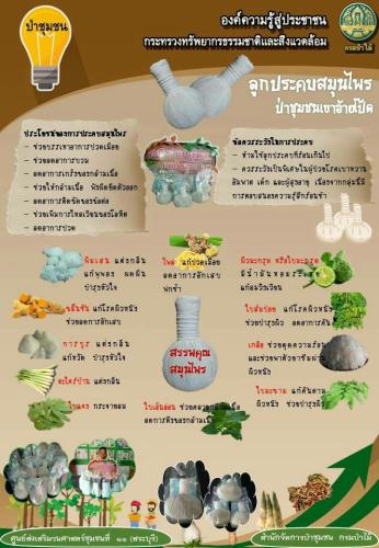 ศูนย์ฯ-11-160362