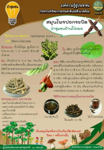 ศูนย์ฯ-11-300362