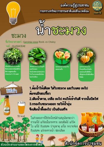 ส่วน-5-080362