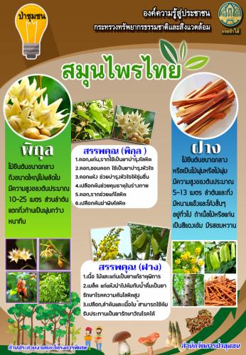 ส่วน-5-290362