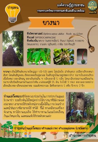 ส่วนอำนวยการ-สจช_1803621